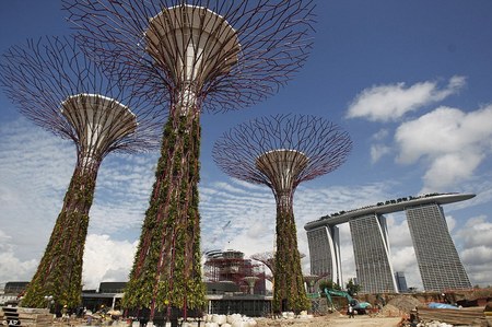 Singapore sets up giant metal and concrete “trees” with rainwater